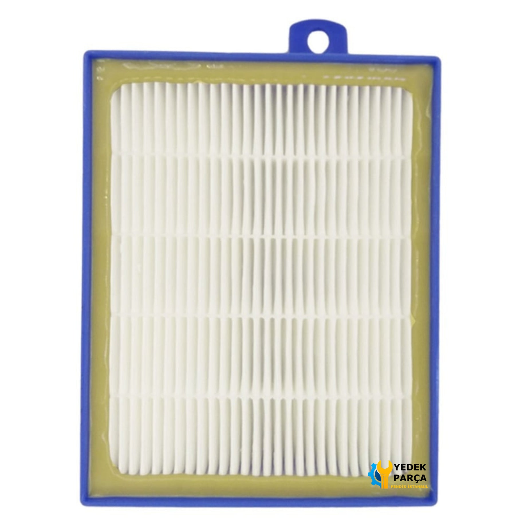 Philips Uyumlu FC 9225 Marathon Süpürge Emiş Hortumu ve Hepa Filtresi