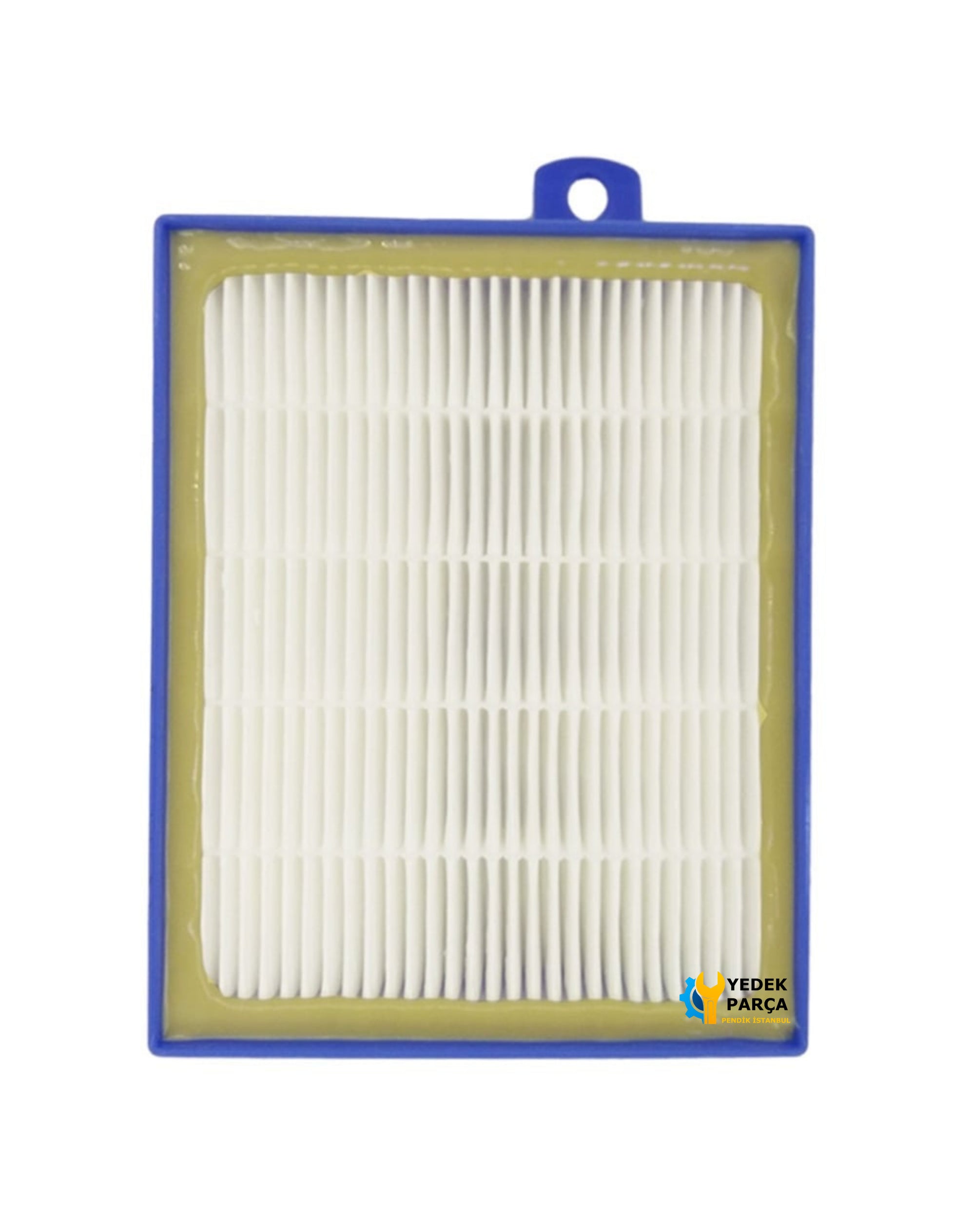 Philips Uyumlu FC 9225 Marathon Süpürge Emiş Hortumu ve Hepa Filtresi